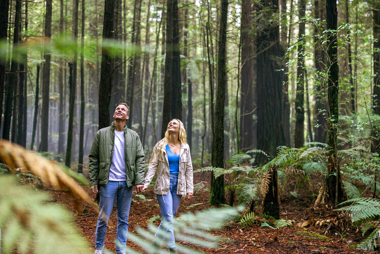 Couple walking in a forest in Rotorua Bay of Plenty