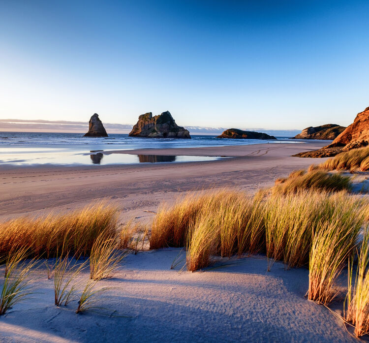 Beach at Dawn