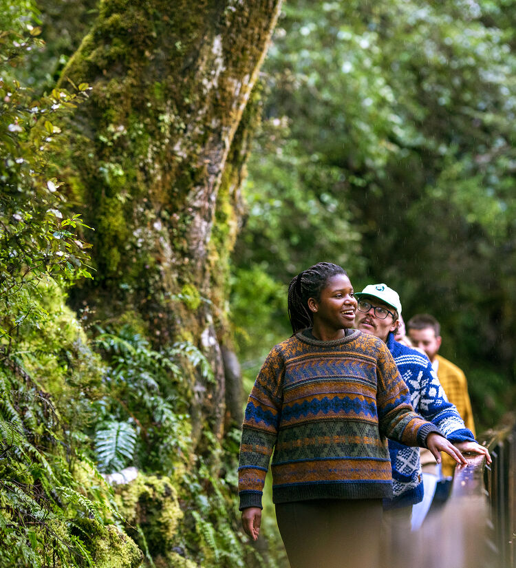 Group Walking Through Forest in Wanaka Otago