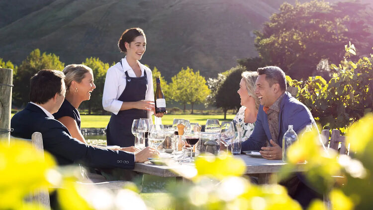 Lady Serving Wine in a Vineyard