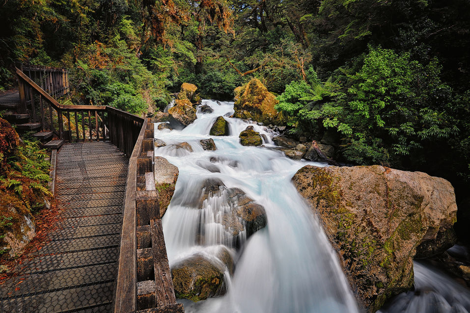 Need to enhance your engineering or management knowledge? Study in New Zealand.