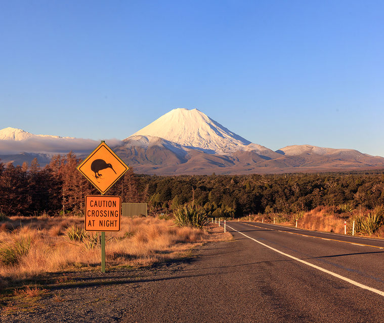 New Zealand Citizenship