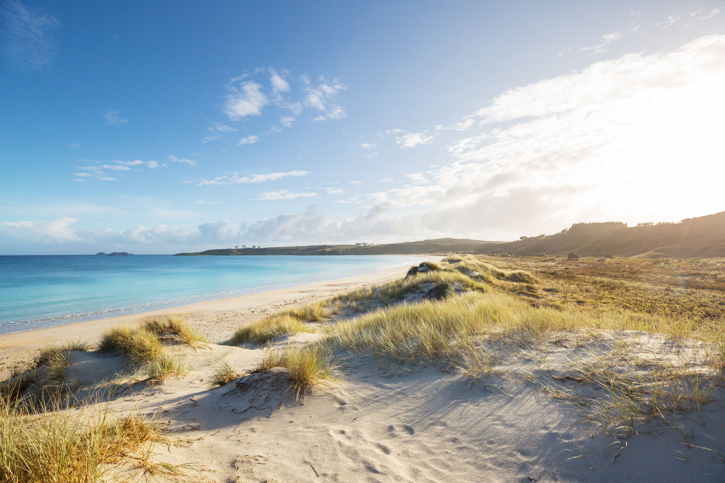 New Zealand Coast