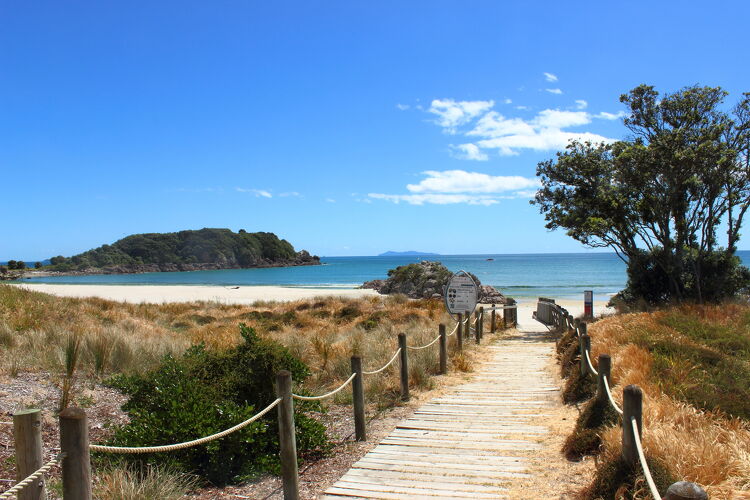 Pathway Down to the Beach