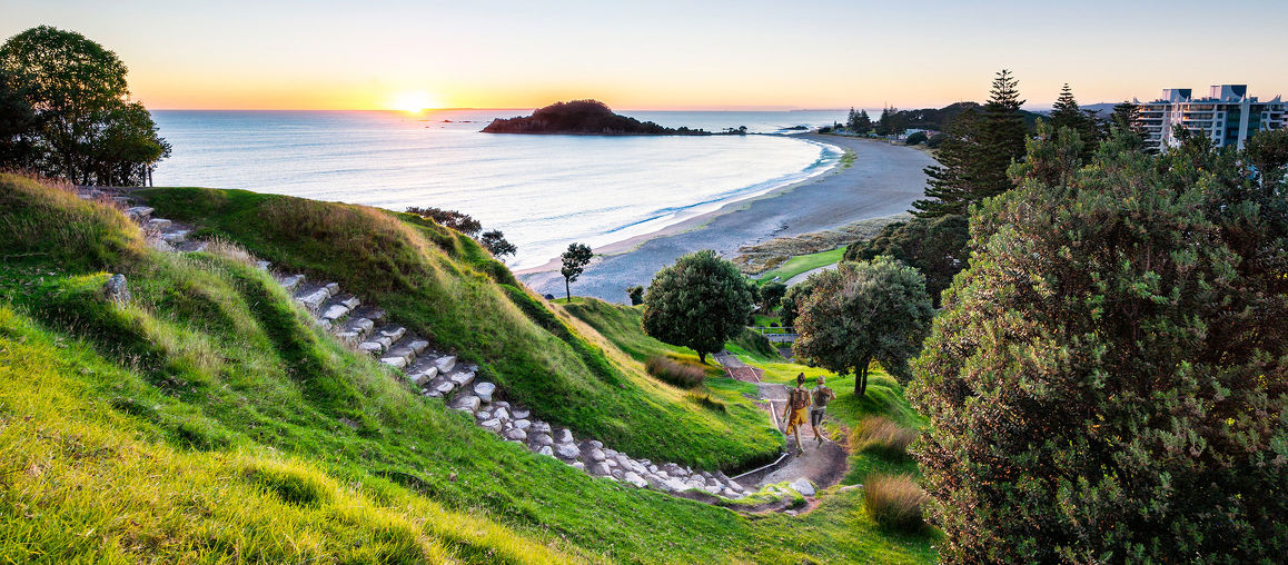 NZ Study Pathways