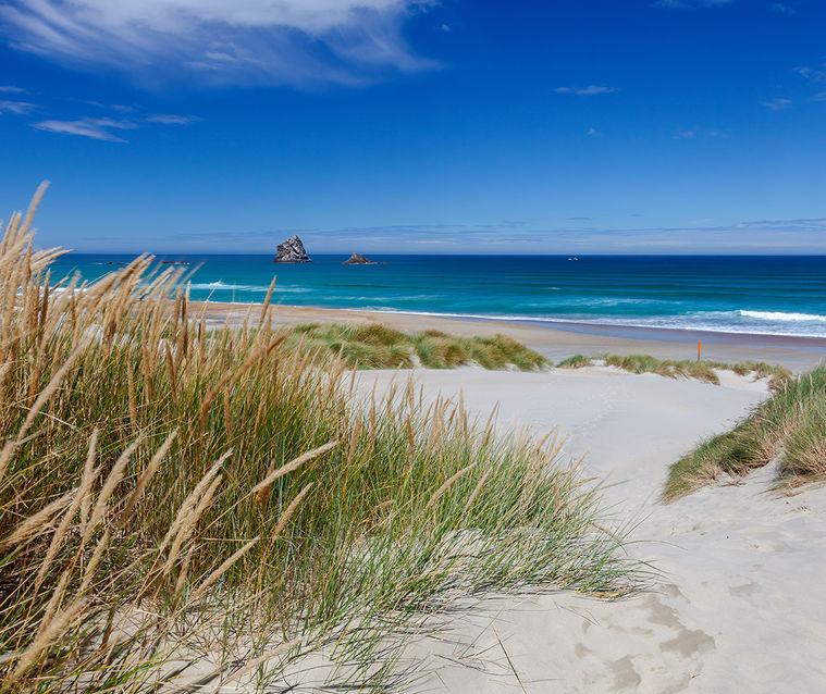 New Zealand Citizenship