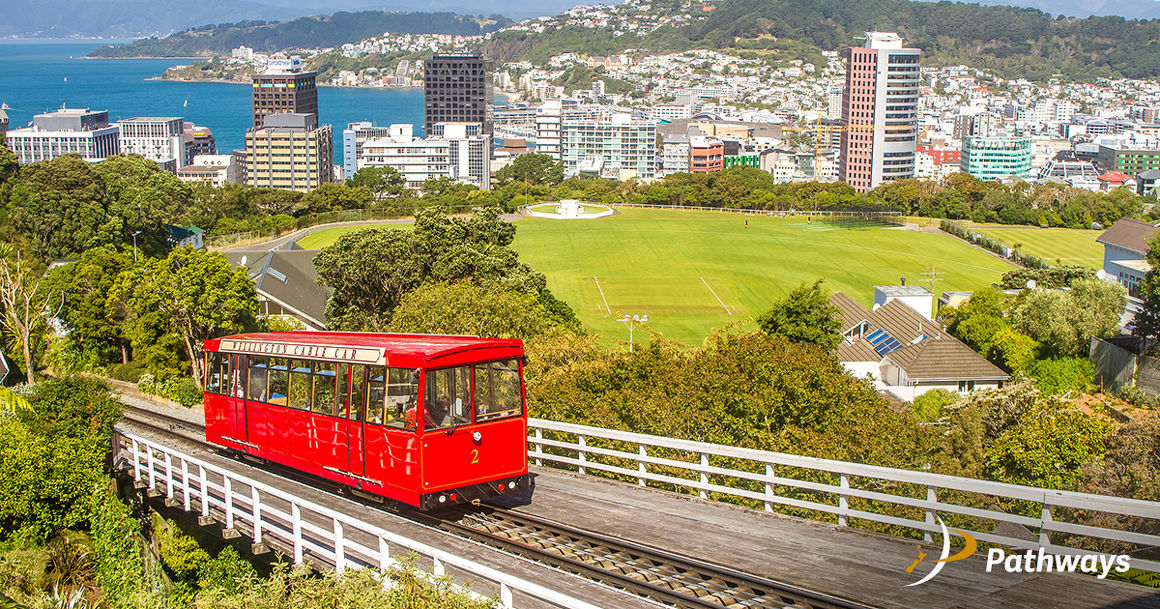 NZ Study Pathways